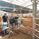 지원목장 이미지