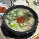 리얼뽑기방 | 마산 nc야구장 맛집 추천 노포 감성 하동돼지 국밥집 수육백반 리얼 리뷰