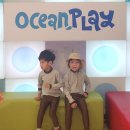 지호카센타 이미지