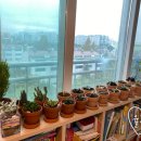 지양농장 이미지