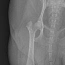 (주)쿨펫 이미지