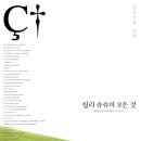 슈슈(chouchou) 이미지
