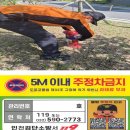 주정차-32 네이버블로그