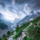 자연의꿈 이미지