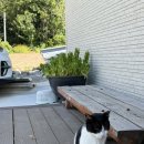 나리롯지 이미지