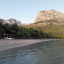 배들약국 이미지