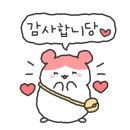 후니풋샵 이미지