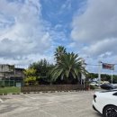 착한집 | 제주공항맛집 갈치조림 맛, 가격 솔직후기 [착한집]