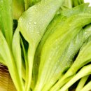 기명농장 이미지