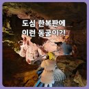 강원도동해교육지원청 | 동해 천곡황금박쥐동굴 방문후기｜도심 속 천연 동굴 아이와 가볼만한곳 실내나들이