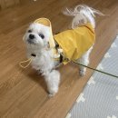 VIP동물의료센터 동대문점 이미지