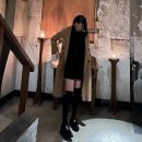 [데일리룩 모음집] 일상룩, 데일리룩, 일상 코디, 여행룩, 데이트룩, 무난룩, 베이직 아이템, 기본...