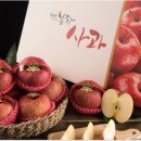 햇살찬농장 이미지