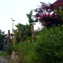 장승나라 소도 이미지