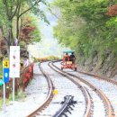 가정역(섬진강출렁다리) 이미지