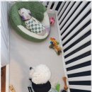 예쁘개 반려견미용샵 이미지