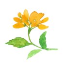 인리스튜디오 이미지