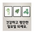주연메디칼약국 이미지