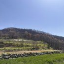서문자연산횟집