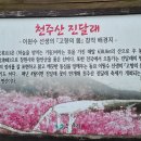 천주산 축제 이미지