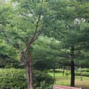 서천레스피아공원 이미지