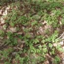 효자농장 이미지