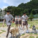 한국펫고등학교 이미지