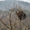 펜션이야기 이미지