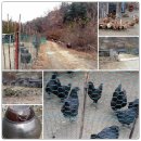 송영농장 이미지