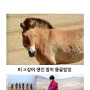 준마농장 이미지