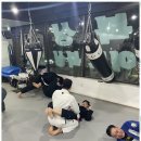 블랙벨트 GYM 이미지