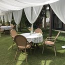 그린카펫 이미지