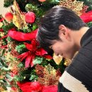 치즈포레스트 이미지