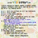 사계절 생태놀이 네이버블로그
