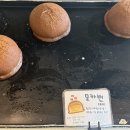 코코로팡 이미지