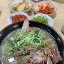 닥그네할망 - 56847 | 닥그네할망