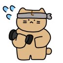 열정핏