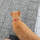 아타쉬케밥 종로본점 | 6월의 메이