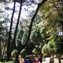 코끼리자연어린이집 이미지