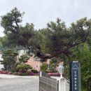 펜션 꼬모도 이미지