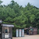 정현초등학교 | 조선의 시간을 걷다. 궁궐 달빛 동행 서울 선릉과 정릉 역사투어 후기