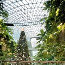 몰디브호텔 | 싱가포르 창이 국제공항 몰디브 경유지 트렌짓호텔 터미널2이용후기