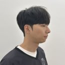 헤어니스트 이미지