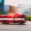 청원사료 이미지