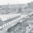 미래청과 이미지