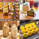 세븐일레븐 대전선화수정점 | 대전 빵지순례 코스 성심당 빵 여행 + 근처 감성카페 투어 추천