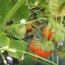 우인농장 이미지