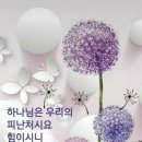 번성 Daum카페