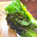 예쁜손(창원상남) | 창원 상남동 상남시장 두루치기쌈밥맛집 3층 상공정 내돈내산 솔직후기
