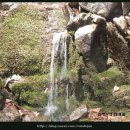 봄의언덕 이미지